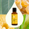 Plant Therapy Immune Aid Essential Oil Blend 30 mL 1 oz 100 Pure Undiluted Natural Aromatherapy Natural Immune Support F