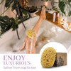 Baudelaire Sea Wool Sponge 55 Natural Sea Sponge for Bathing and Shower Durable Sustainable EnvironmentFriendly Loofah f