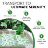 Natures Beauty Eucalyptus Tea Tree Bath Bomb MultiPack Natural Hand Crafted NonStaining Luxury Fizzy Spa Bomb Sooth Rest