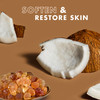 SheaMoisture Daily Hydration Body Wash 100 Virgin Coconut Oil Cleanser for All Skin Types Skin Care to Soften Restore Sk