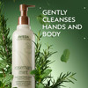Aveda Rosemary Mint Hand Body Wash Liquid Hand Soap and Body Wash with Invigorating Aroma of Certified Organic Peppermin