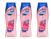 Dial Body Wash Himalayan Salt Enriching 16 Fl Oz Pack of 3
