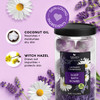 Natures Beauty Lavender Chamomile Sleep Bath Bomb Gift Set MultiPack Luxury Fizzy Relax Spa Bomb wVanilla Citrus Scent M