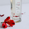 Lollia in Love Bubble Bath 16 fl oz Classic Petal Scent Gentle Moisturizing Bubbling Liquid Soap for Women Hydrating Ing