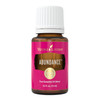 Young Living Abundance Essential Oil Blend 15 ml Warm Uplifting Aromatherapy for Diffusing Topical Use Spicy Invigoratin
