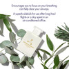 Aromatherapy Associates Support Breathe Bath and Shower Oil Natural Body Oil to Clear Mind Body and Spirit Hydrating Bod