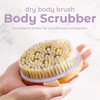 MainBasics Dry Brushing Body Brush for Lymphatic Drainage Dry Skin Cellulite Blood Circulation with Exfoliating Natural