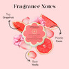 Spongelle Grapefruit Cassis Spongette Loofah Body Scrubber Bath Shower Loofah for Women Body Scrubber Exfoliator with Bo