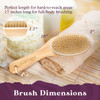 Purple Canyon Body Brush Natural Boar Bristle Dry Brush for Exfoliating Lymphatic Drainage Cellulite Appearance and Circ