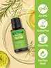 Natures Truth Tea Tree Essential Oil 15 mL for Diffusers and Aromatherapy Melaleuca Alternifolia Pure Plant Based NonGMO