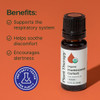 Plant Therapy Organic Frankincense Carterii Essential Oil 100 Pure USDA Certified Organic Undiluted Natural Aromatherapy