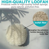 36 pcsSet Natural Exfoliating Face Pad Loofah Sponge Facial Brush Makeup Remover Shower Scrubber Remove Dead Skin Body B