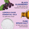 Dr Teals Salt Soak with Pure Epsom Salt Elderberry 3 lbs