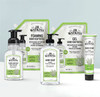Jr Watkins Aloe Green Tea Shea Body Cream 33 Ounce