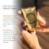 Panier des Sens Sea Samphire Hand Cream Nourishing Shea Butter Hand Cream for Dry Cracked Hands 97 Natural Ingredients D