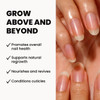 LONDONTOWN kur Restorative Nail Cream 1 Fl Oz Pack of 1