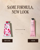 LOccitane Rose Hand Cream 260 oz