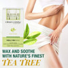 Clean Easy Tea Tree Roll On Wax Large Soft Wax Refill Cartridge for Hair Removal on Sensitive Skin Legs Body 3 Pack