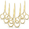 5 Pieces Small Straight Tip Nose Hair Scissor for Grooming Stainless Steel MultiPurpose Beauty Grooming Scissors for Fac