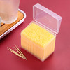 1000pcs Disposable Interdental Portable Plastic Toothpicks Oral Cleaner Stick Oral Gingival Dental Toothpicks Dental Flo