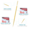 1000pcs Disposable Interdental Portable Plastic Toothpicks Oral Cleaner Stick Oral Gingival Dental Toothpicks Dental Flo