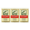 Tea Tree Therapy Toothpicks Cinnamon 100 Count 3Pack