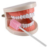 Disposable Oral Swabs Sterile Dental Sponge Swabsticks Unflavored for Mouth Gum Cleaning 250 Packbox