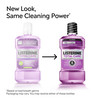 Listerine Total Care Intense Anticavity Fluoride Mouthwash 6 Benefits in 1 Oral Rinse Helps Kill 99 of Bad Breath Germs