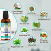 GuruNanda CocoMint Oil Pulling Mouthwash for Complete Oral Hygiene 7 Essential Oils Vitamins for Happy Teeth Gums Fresh