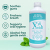 Xyli Swish All Natural Formulated Nano Silver Xylitol Aloe Mouthwash Alcohol and Fluoride Free Oral Rinse to Fight Bad B