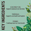 Banyan Botanicals Organic Mint Daily Swish Ayurvedic Oil Pulling Mouthwash Coconut Sesame Oil with Triphala for Gum Heal