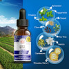 GuruNanda Concentrated Mouthwash 2 fl oz FluorideFree Mint Mouthwash with Natural Essential Oils Supports 300 Rinses Aid