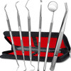 GCATACC Dental Tools Dental Pick Teeth Cleaning Tools Hygiene Kit Plaque Remover for Teeth Professional Stainless Steel