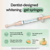 Opalescence 10 Gel Syringes Teeth Whitening Refill Kit 4 Syringes Total Carbamide Peroxide Made by Ultradent in Melon Fl