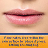 Neosporin Lip Health Overnight Renewal Therapy White Petrolatum Lip ProtectantMoisturizer to Nourish Repair Dry Lips Hel