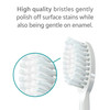 TAO Clean Sonic Electric Toothbrush Replacement Heads 3Pack Replacement Heads for the TAO Clean Electric Toothbrush and