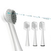 Replacement Brush Heads for Waterpik Sonic Fusion 20 Flossing Toothbrush Head for Water pik with ColorCoded Rings Hygien
