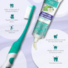 GuruNanda Folding Toothbrush with Builtin Cover Toothpaste with Hydroxyapatite Perfect for Travel Compact Portable OnThe