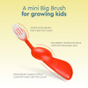 RADIUS Childrens Toothbrush Kids Brush Extra Soft Bristles Right Handed GreenBlueOrange BPA Free ADA Accepted Designed t
