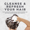 Avalon Organics Biotin Shampoo - Therapy B-Complex Thickening Shampoo for an Energized Scalp & Fuller, Thicker-Looking Hair, 14 Fl Oz online at globaldelivered