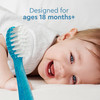 RADIUS Totz Toothbrush Extra Soft Brush BPA Free ADA Accepted Designed for Delicate Teeth Gums for Children 18 Months Up