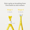 Frida Baby GrowwithMe Training Toothbrush Set Infant Baby Tooth brush Toddler Toothbrush 618 Months Soft Silicone Bristl