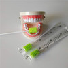 MUNKCARE Treated Dentifrice Oral Swabs Dental Swabs Mouth Cleaning Sponge Swabs 250pcs Fruit Green