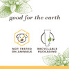 Burts Bees Toothpaste Natural Flavor FluorideFree Purely White Zen Peppermint 47 oz Pack of 3