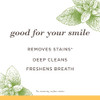 Burts Bees Toothpaste Natural Flavor FluorideFree Purely White Zen Peppermint 47 oz Pack of 3