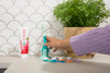 RADIUS USDA Organic Kids Toothpaste 3oz Non Toxic ChemicalFree GlutenFree Designed to Improve Gum Health for Childrens 6