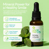 Uncle Harrys Natural FluorideFree Remineralization Liquid for Tooth Enamel Freshens Breath Strengthens Teeth 2 Pack 1 oz