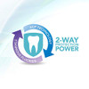 Premier 9007270 Enamelon Fluoride Toothpaste Protection Against Painful SensitivityHelps Prevent Gingivitis Mint Breeze
