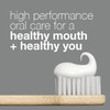 Davids Fluoride Free Toothpaste Teeth Whitening Antiplaque SLS Sulfate Free Promotes Enamel Health Mouth Gum Detox EWG V