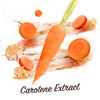 Malibu Sun Fast Tanning Gel 101 Fl Oz Deep Tan Accelerator with Carrot Beta Carotene and Vitamin E Tropical Coconut Wate